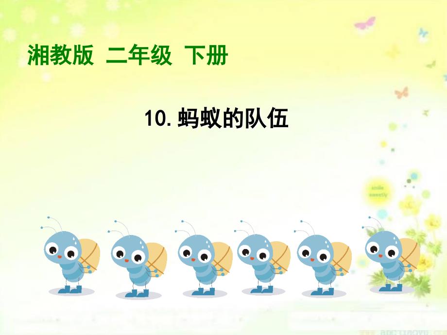 春湘教版语文二下《蚂蚁的队伍》ppt课件_第1页