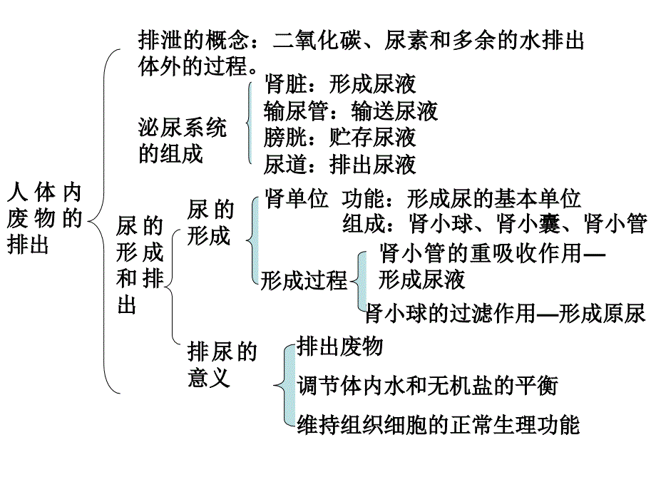 5人体内废物的排出复习_第2页