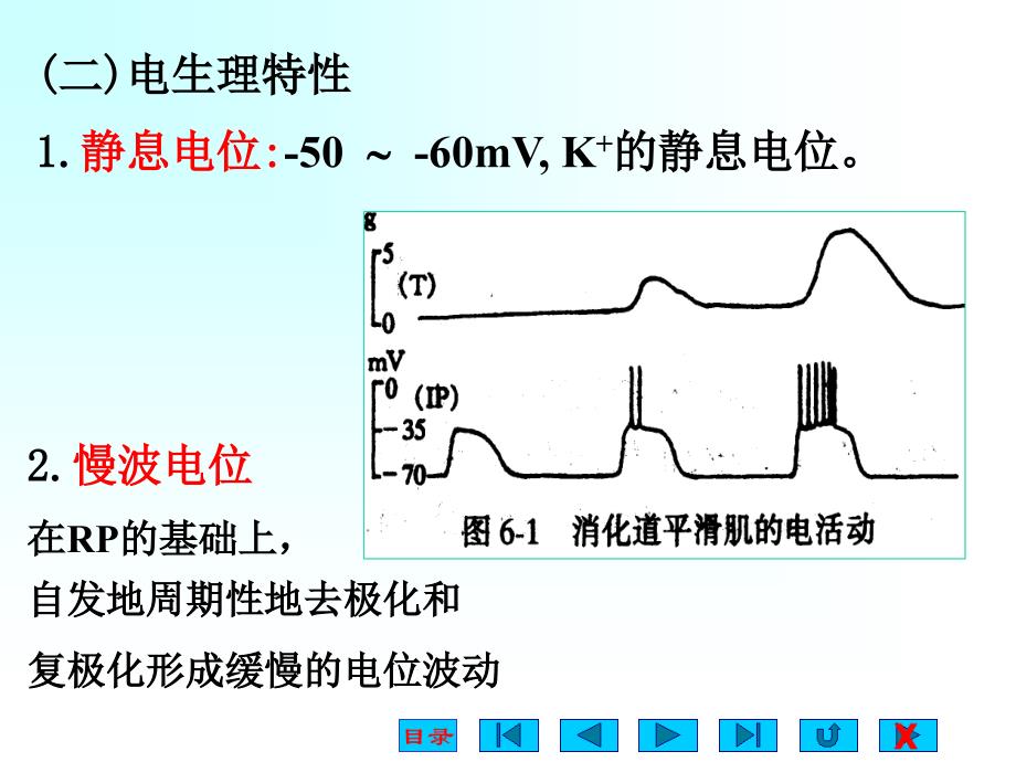 消化系统(生理ppt)课件_第4页