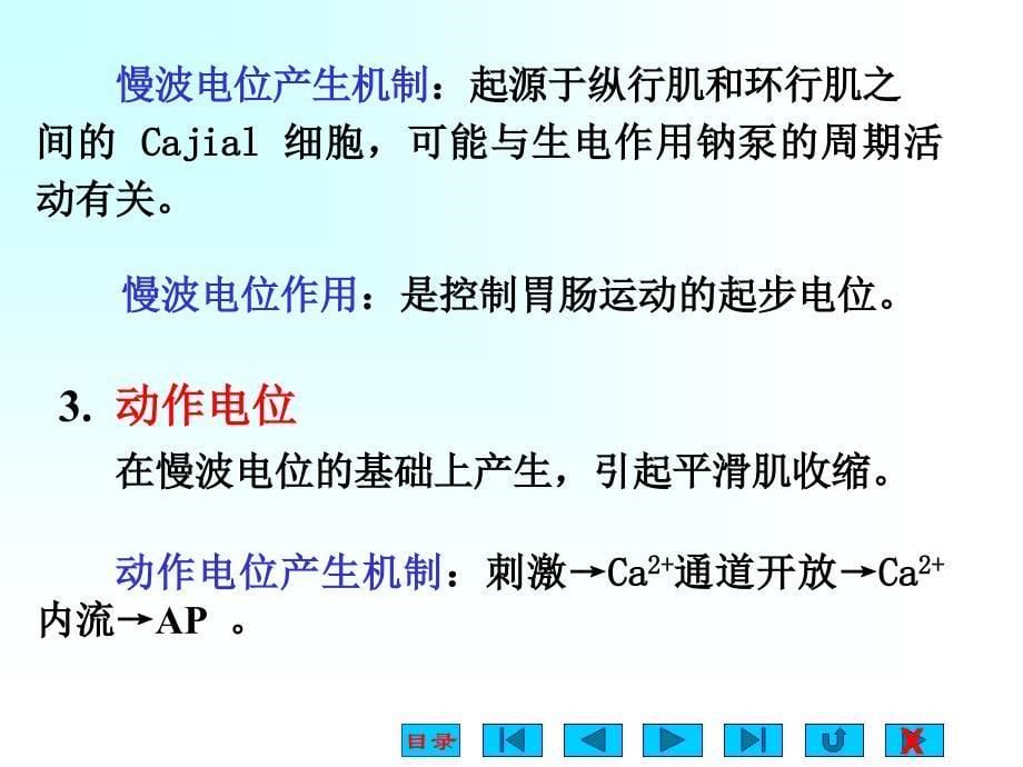 消化系统(生理ppt)课件_第5页