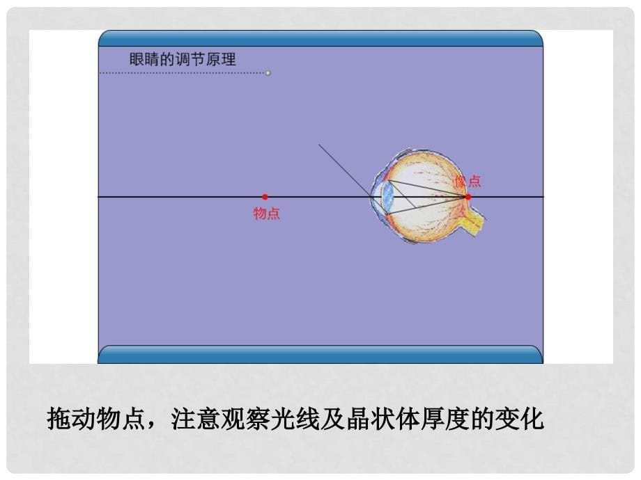 八年级物理上册 第5章 第4节 眼睛和眼镜课件 （新版）新人教版_第5页