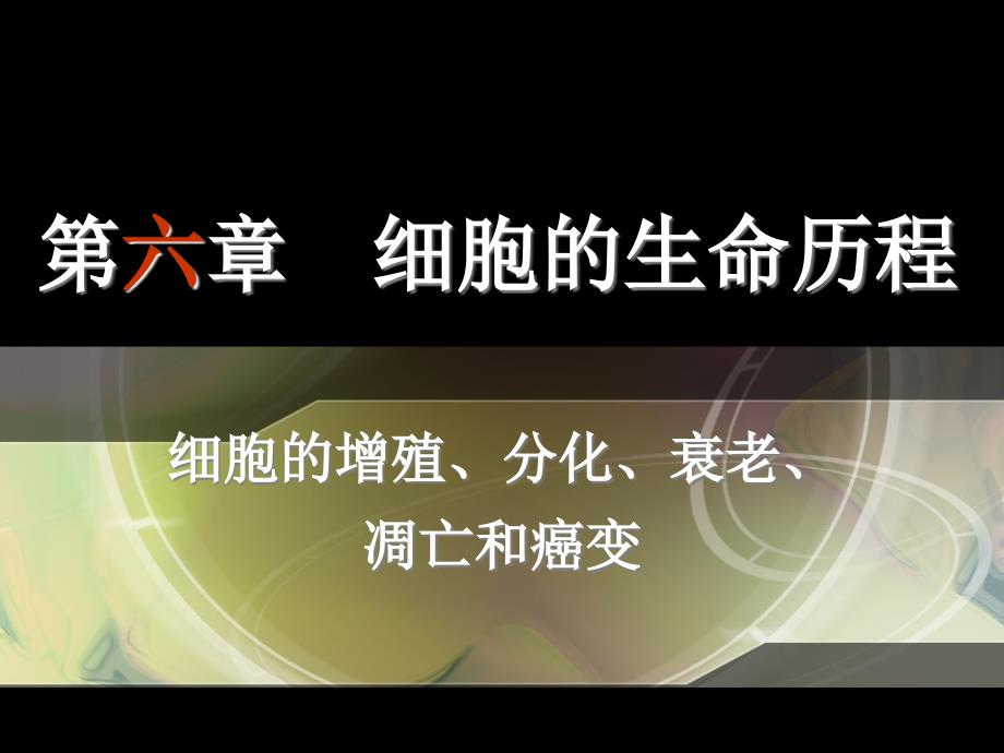 细胞的生命历程生长、衰老和癌变_第1页