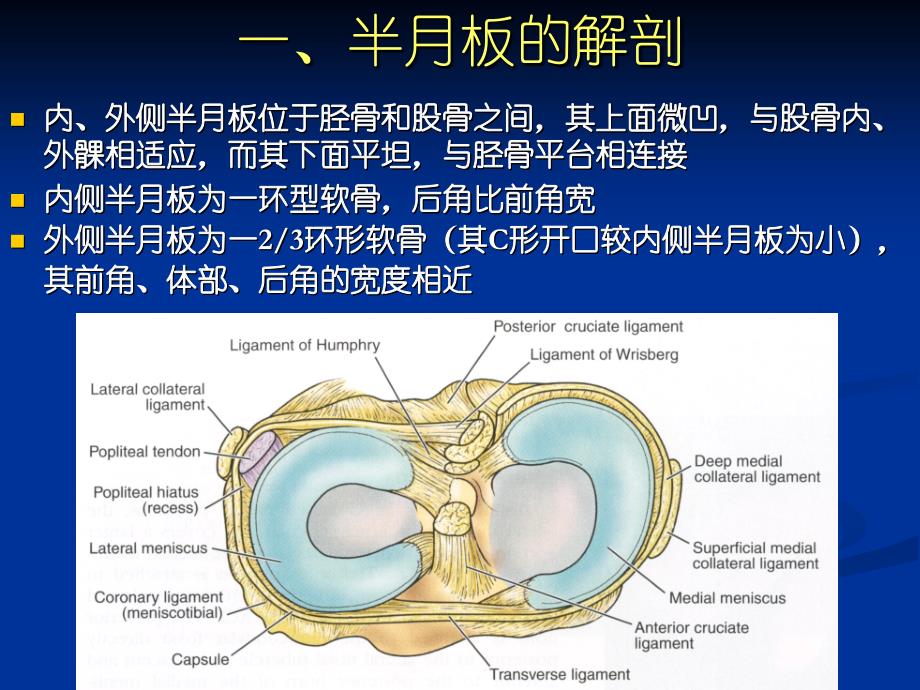 半月板撕裂的MR诊断 PPT课件.ppt_第2页