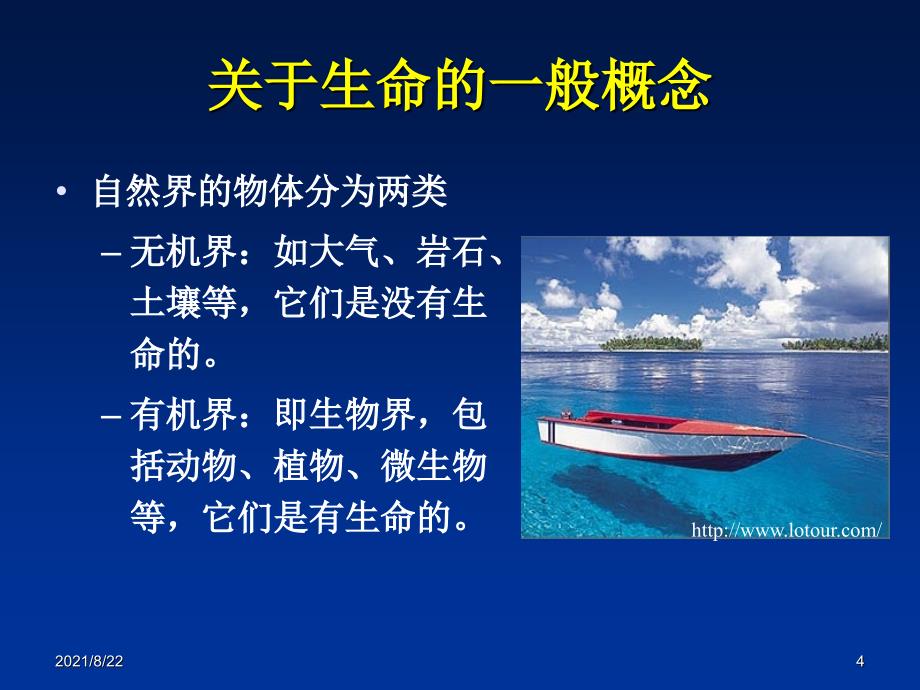 生物的起源与进化-生命起源和细胞的起源与进化推荐课件_第4页