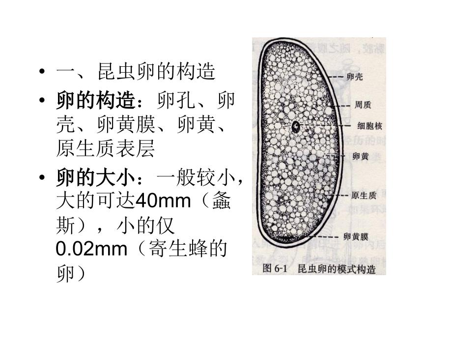 生物学特性园林_第4页