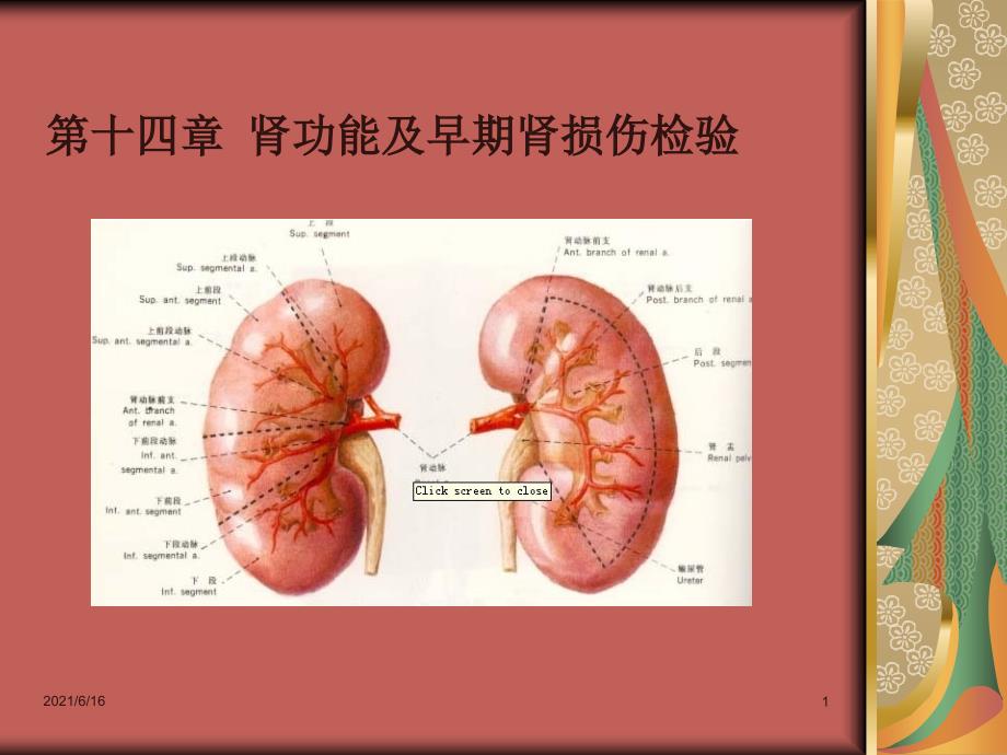 专14肾功能及早期肾损伤检验_第1页