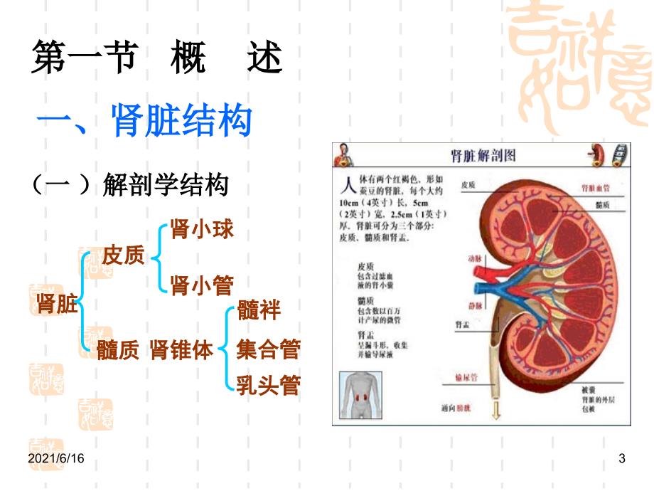 专14肾功能及早期肾损伤检验_第3页