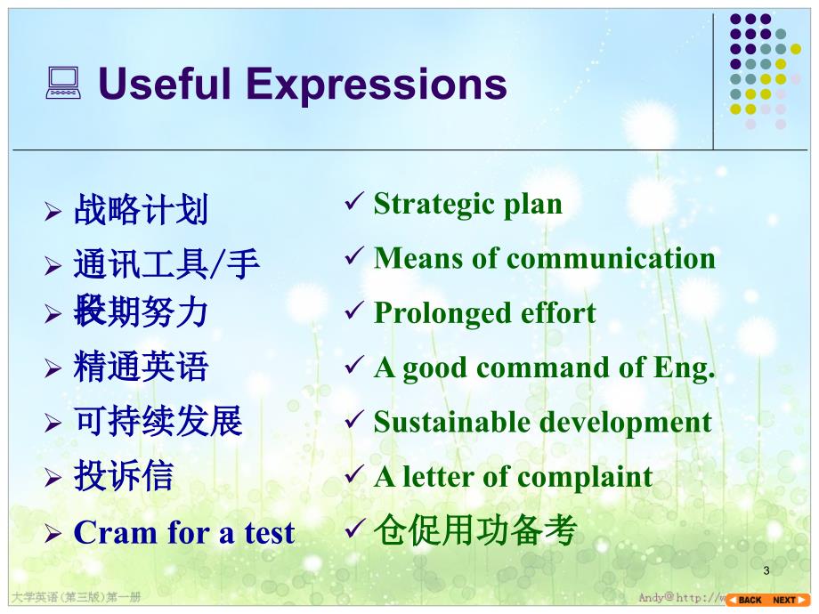 大学英语第一册第一单元SomeStrategiesforLearningEnglish_第3页