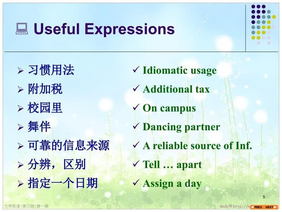 大学英语第一册第一单元SomeStrategiesforLearningEnglish_第5页