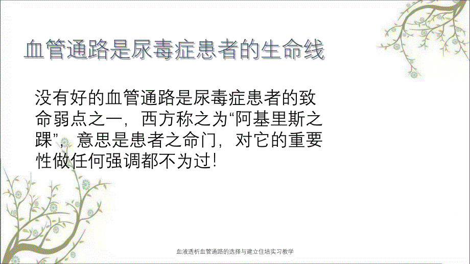 血液透析血管通路的选择与建立住培实习教学_第3页