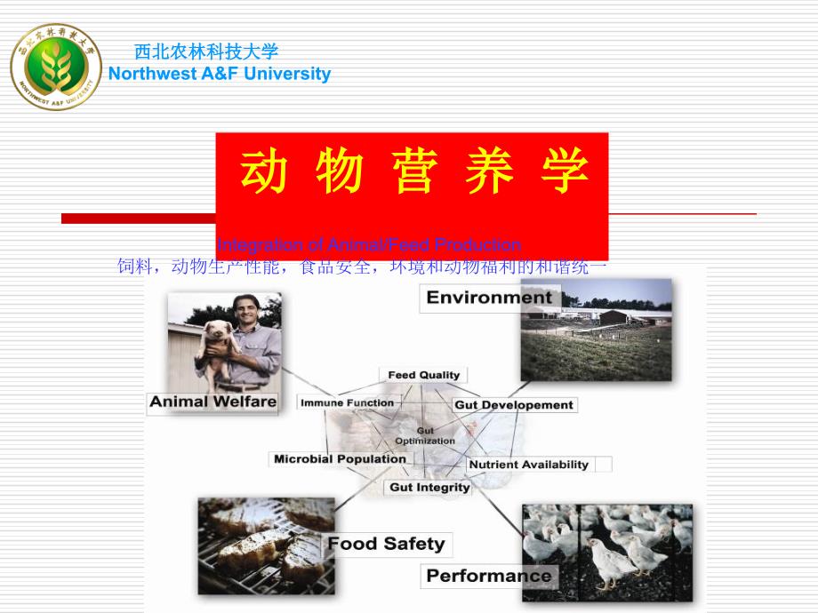 第一章动物营养学绪论_第1页