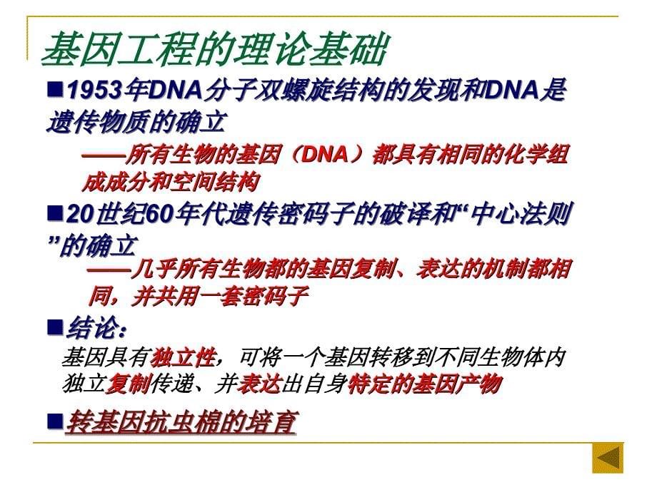 第一章基因工程_第5页