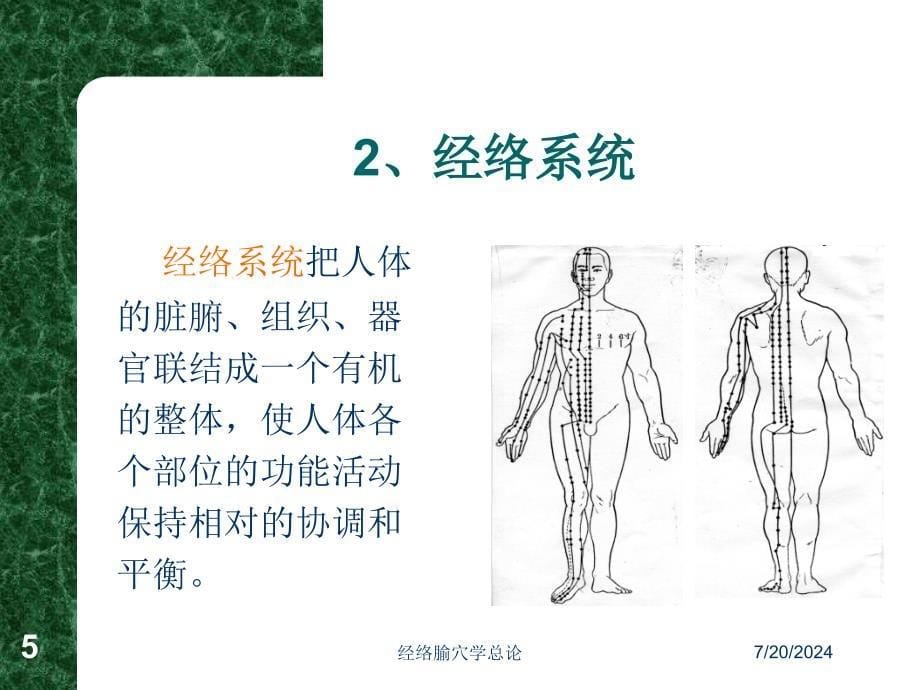 经络腧穴学总论通用课件_第5页