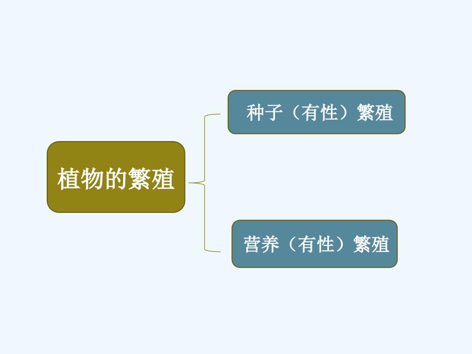 植物的无性繁殖_第2页