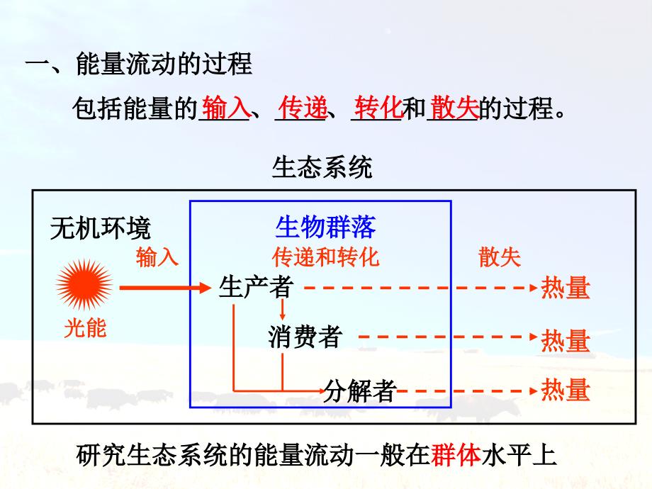 第2节生态系统的能量传递定稿_第4页
