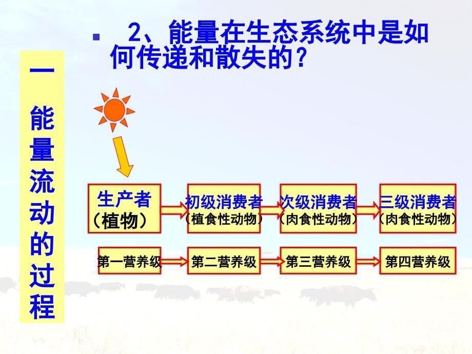 第2节生态系统的能量传递定稿_第5页