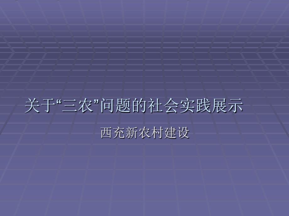 三农问题调查展示稿—10级营销2班王志伟课件_第2页