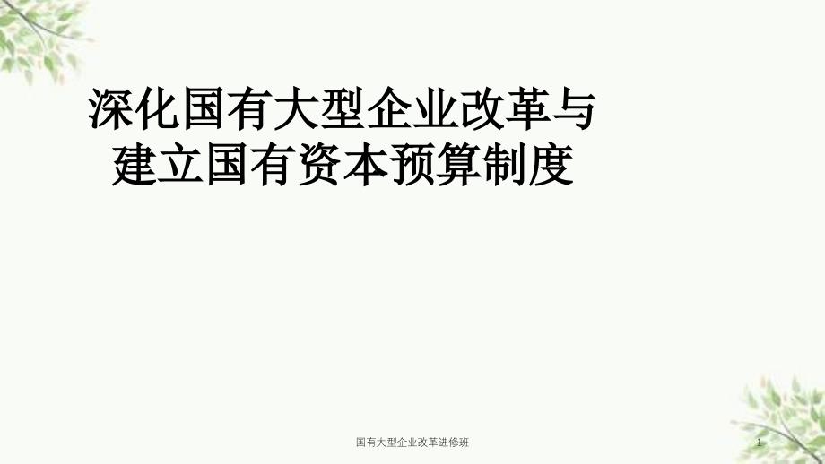 国有大型企业改革进修班课件_第1页