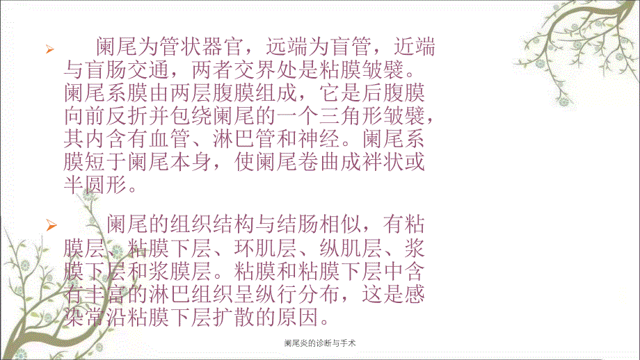 阑尾炎的诊断与手术课件_第4页