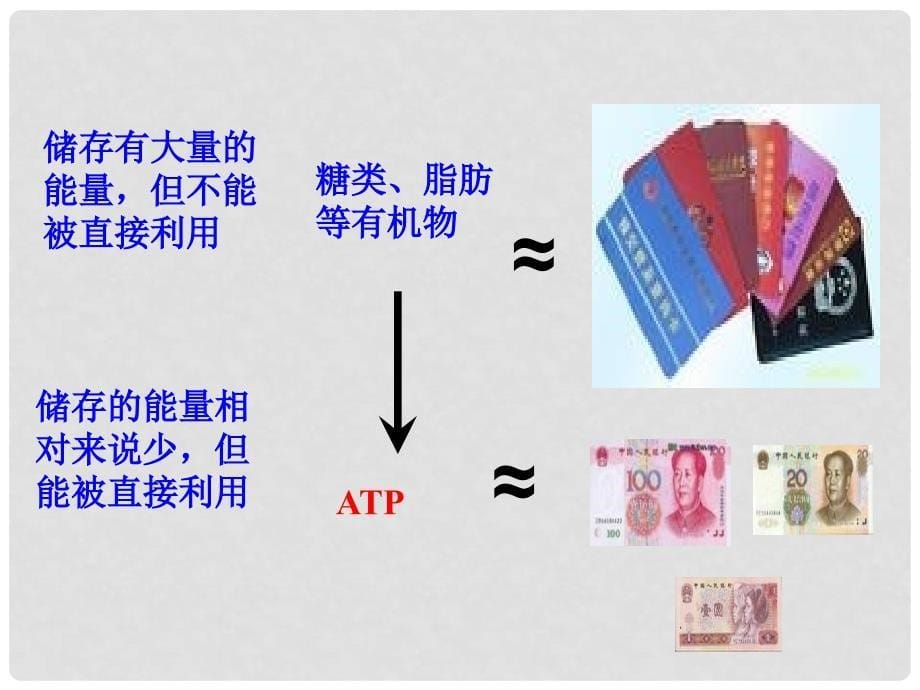 高中生物 专题5.2 细胞的能量“通货”—ATP课件 新人教版必修1_第5页