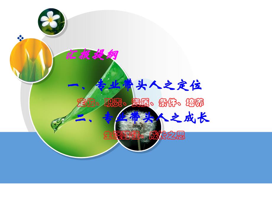 专业负责人的定位与成长课件.ppt_第3页