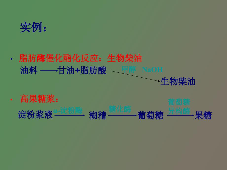 均相酶反应动力学_第3页