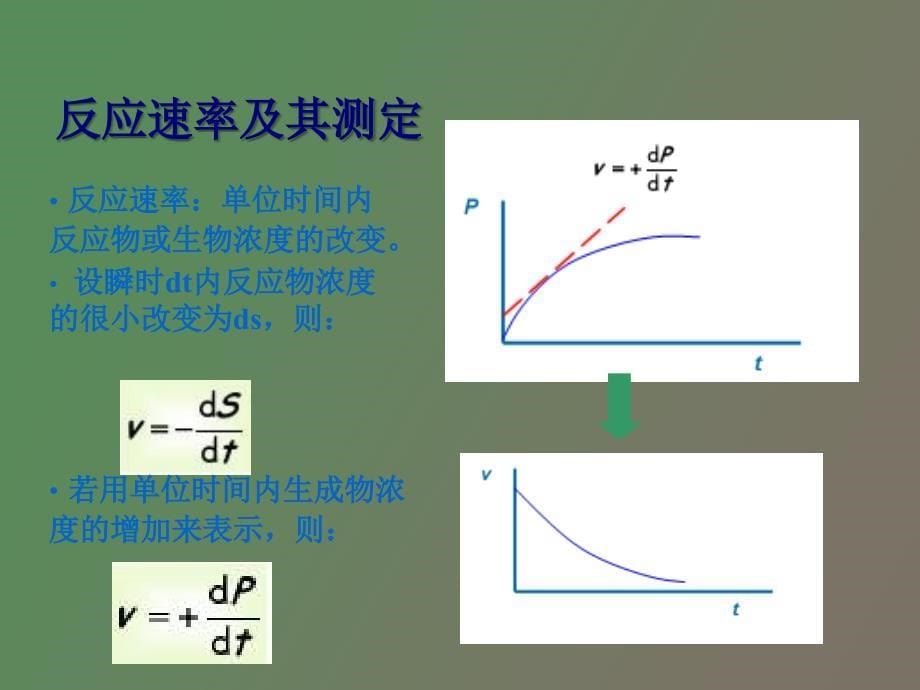 均相酶反应动力学_第5页