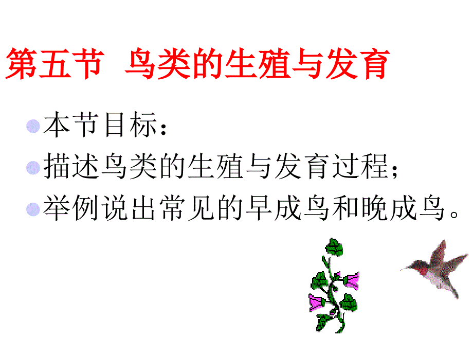 八年级生物鸟类的生殖与发育课件_第2页