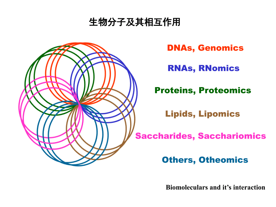 生物大分子相互作用学教学课件_第2页