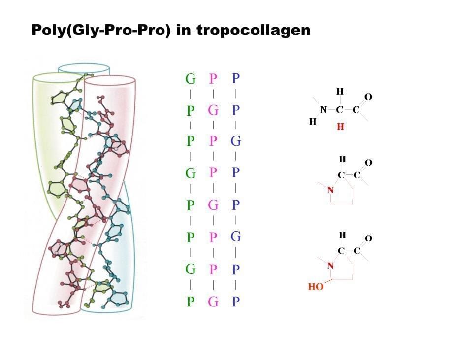 生物大分子相互作用学教学课件_第5页