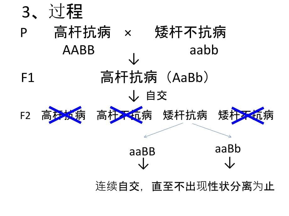 几种育种方法的比较_第5页