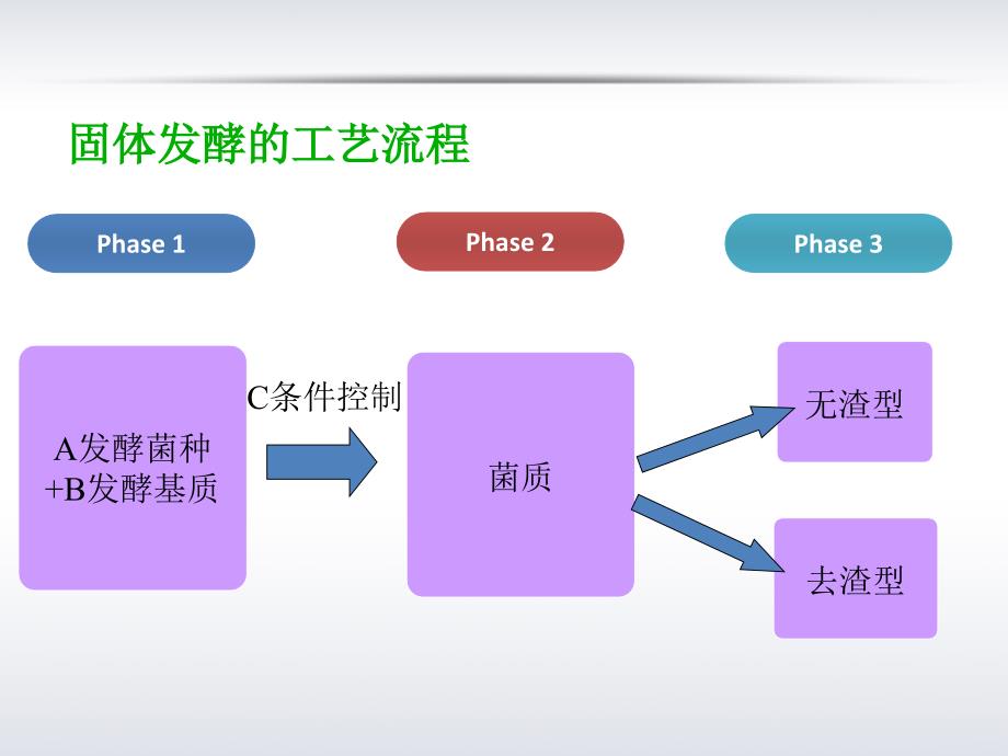 双向固体发酵教学文稿_第4页