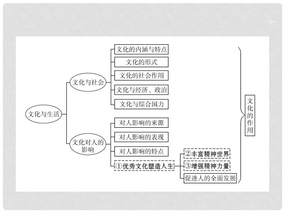 高三政治一轮复习 第一单元 文化与生活 1 文化与社会课件 新人教版必修3_第3页