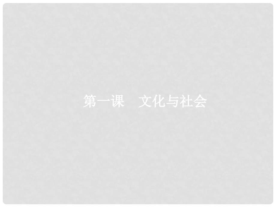 高三政治一轮复习 第一单元 文化与生活 1 文化与社会课件 新人教版必修3_第5页