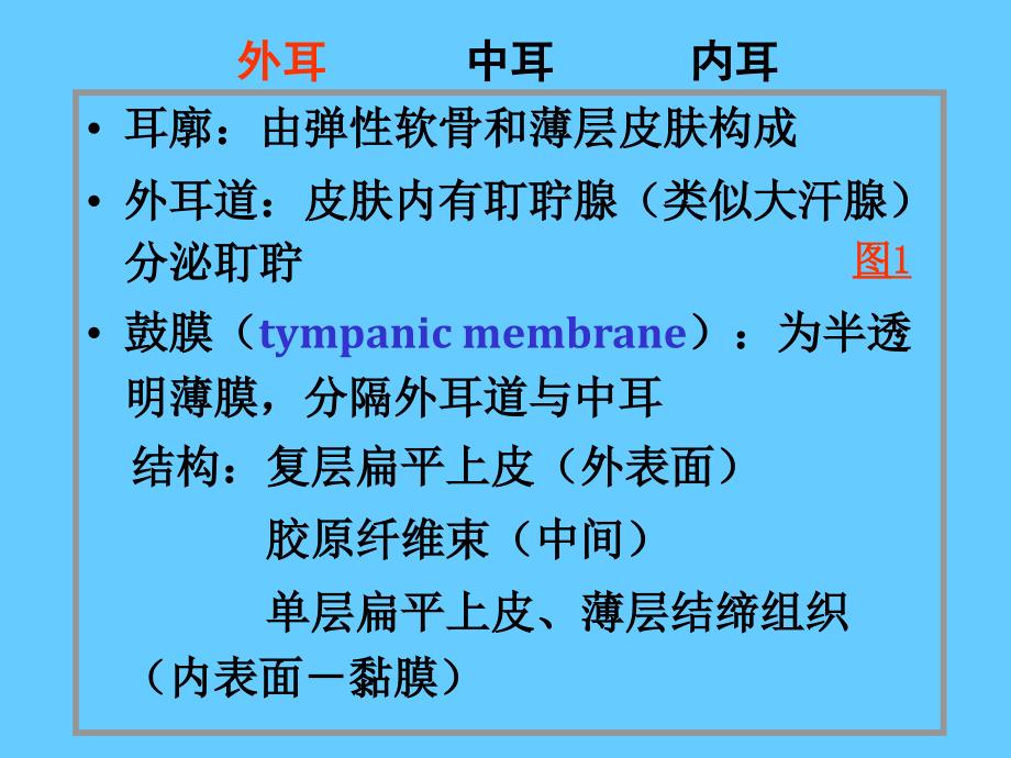 组织学课件09B眼和耳(耳)上_第3页