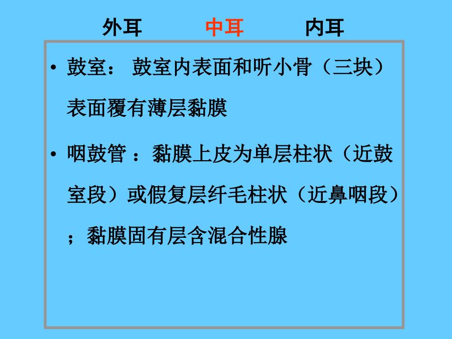 组织学课件09B眼和耳(耳)上_第4页