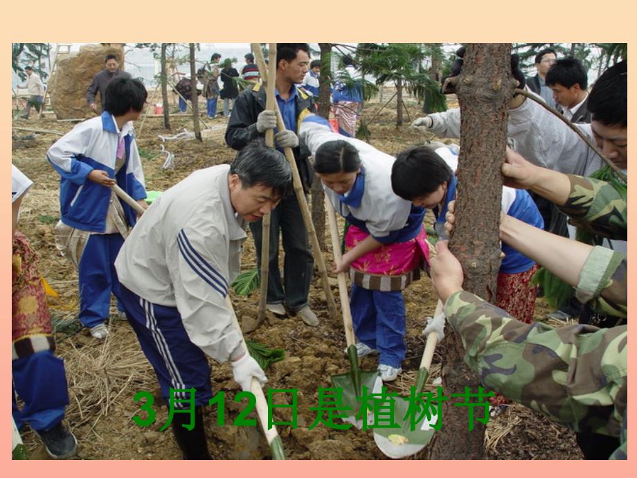 2022三年级数学下册2除数是一位数的除法笔算除法两位数除以一位数课件2新版新人教版_第3页