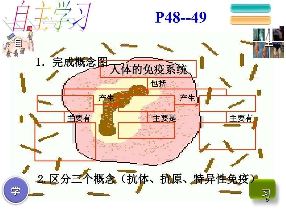 人体的免疫防线2_第5页