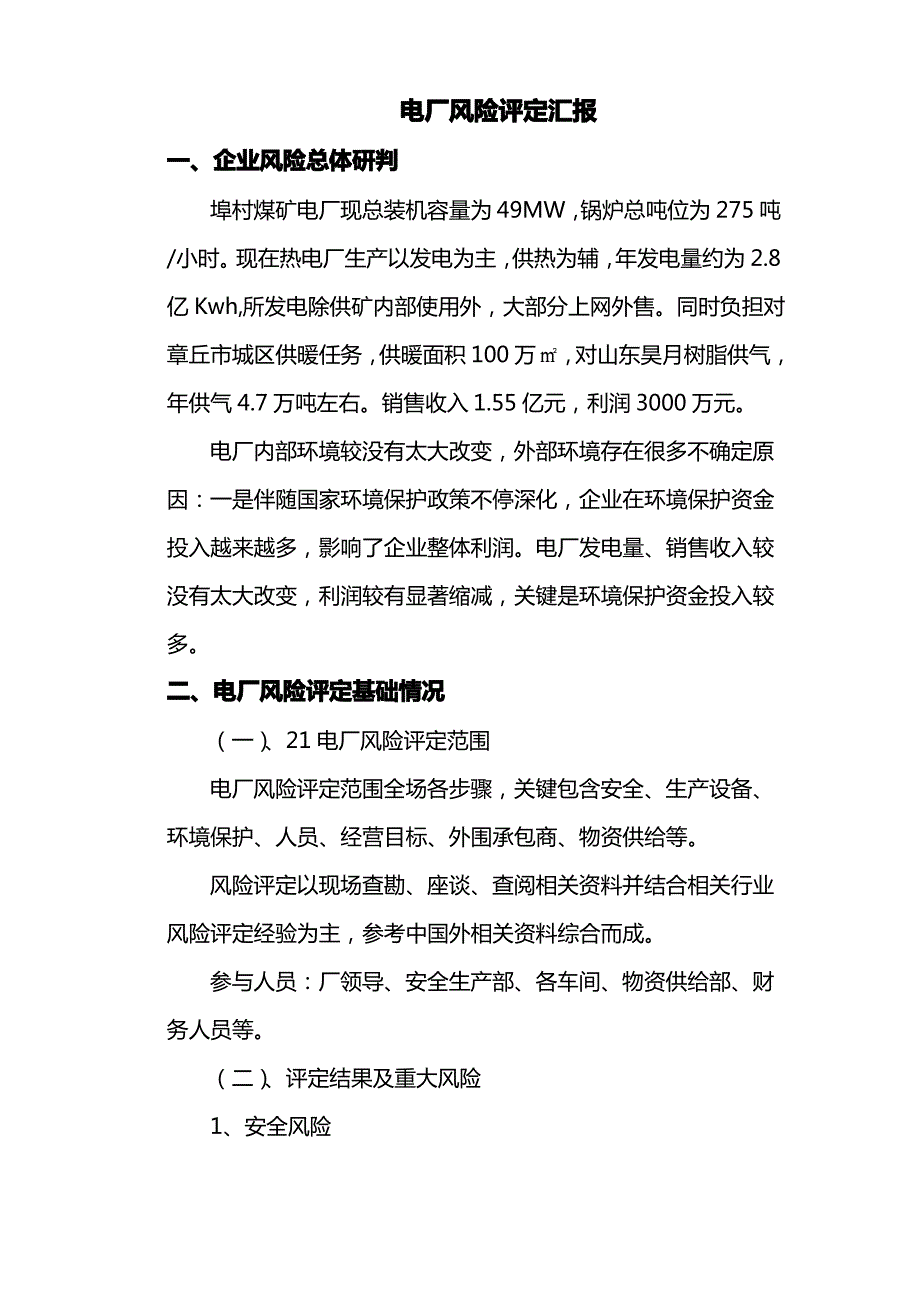 电厂风险评估分析报告_第1页