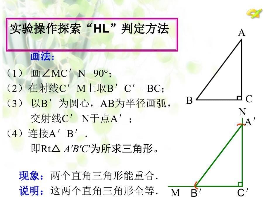 直角三角形HL_第5页