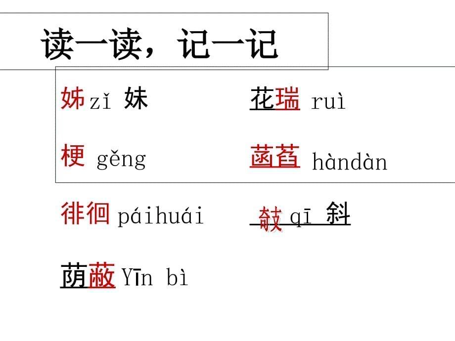 4、散文诗两首荷叶母亲课件_第5页