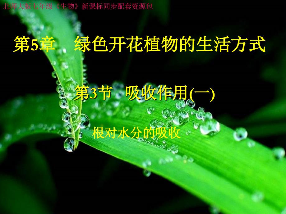 探究植物细胞失水和吸水_第1页