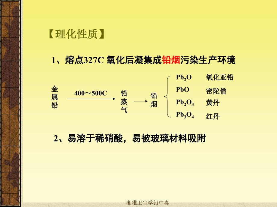 湘雅卫生学铅中毒课件_第2页