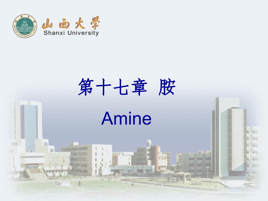 第十七部分胺Amine_第1页