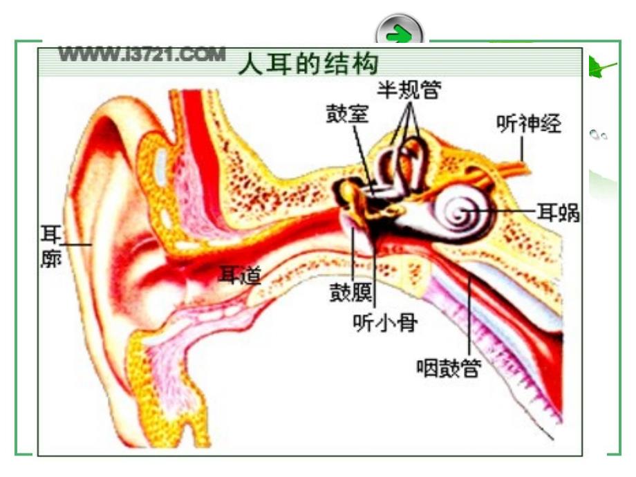 影视心理学(第5章).ppt_第4页