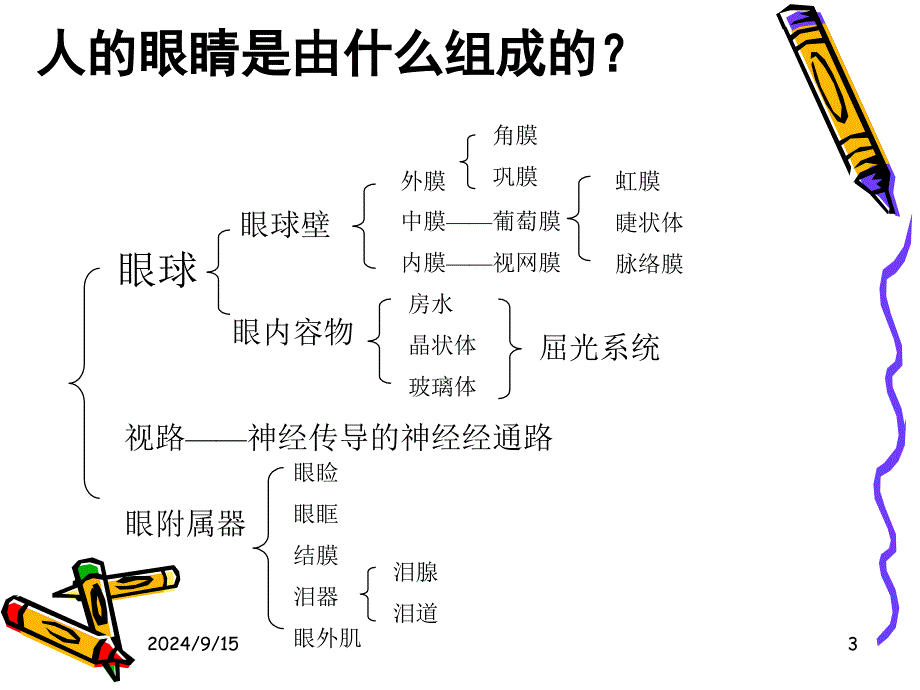 眼科基础知识_第3页