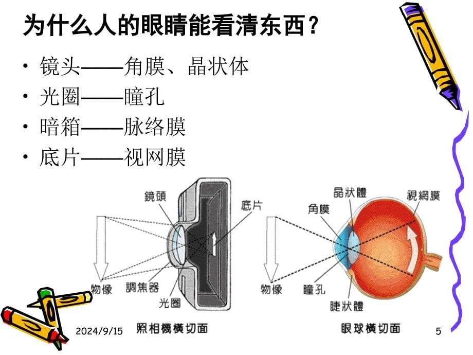 眼科基础知识_第5页