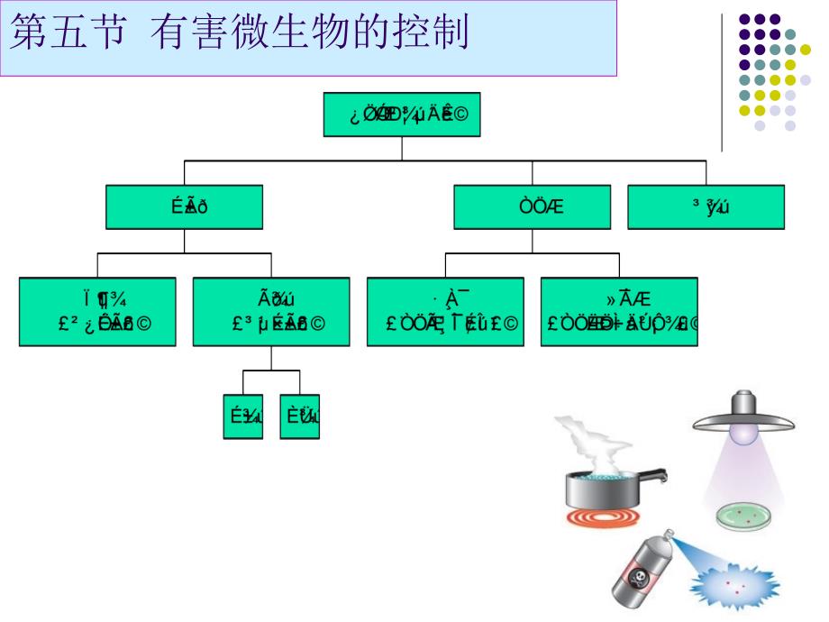 有害微生物的控制_第1页