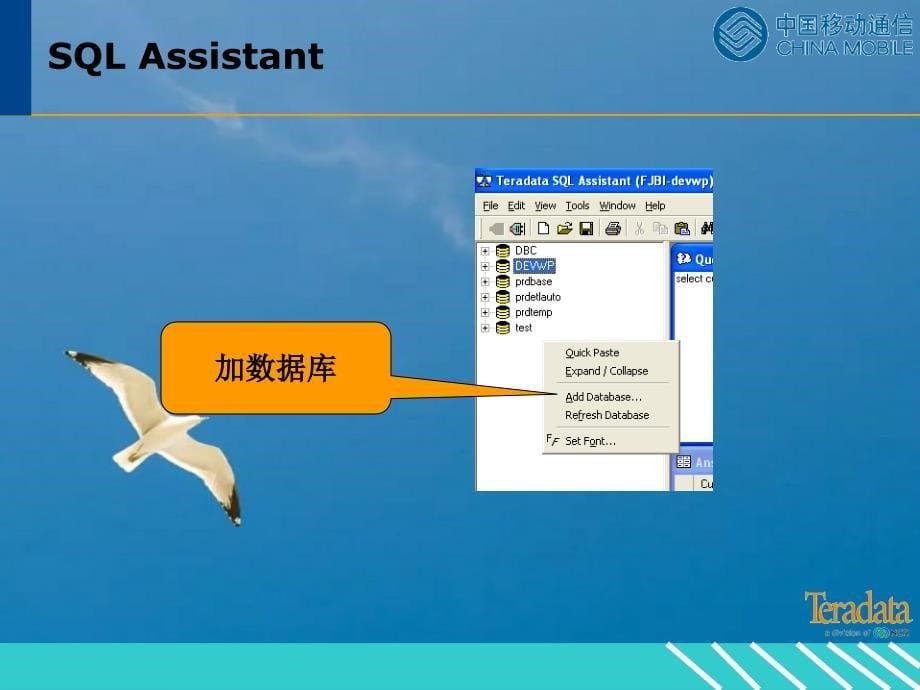 teradata培训文档ppt课件_第5页