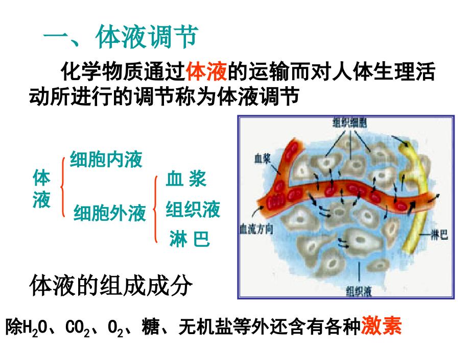 人和高等动物生命活动调节_第3页